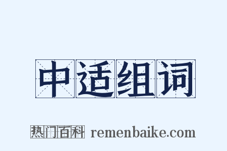 中适组词是什么意思的图片